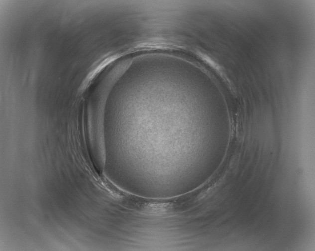 X0000080791453200612151442