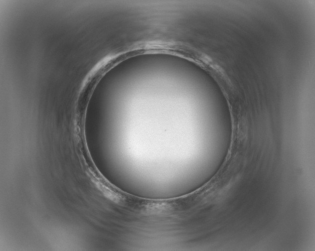 X0000080791454200612151442