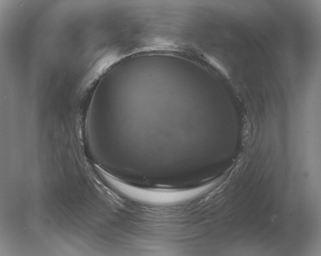X0000080791455200612151442
