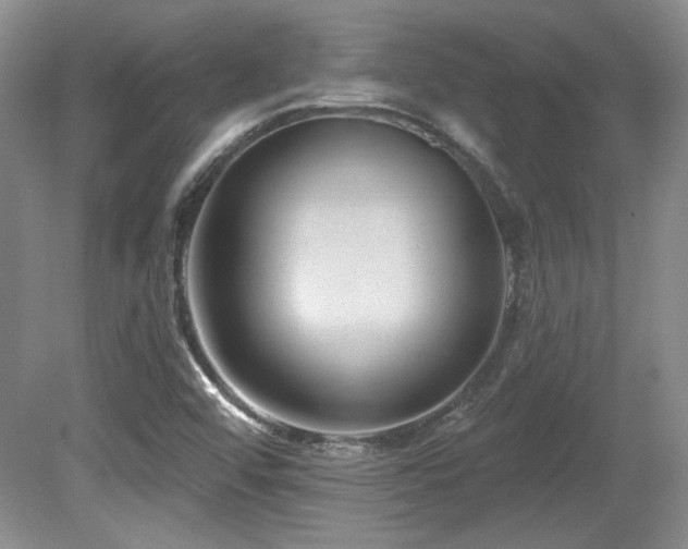 X0000080791456200612151442