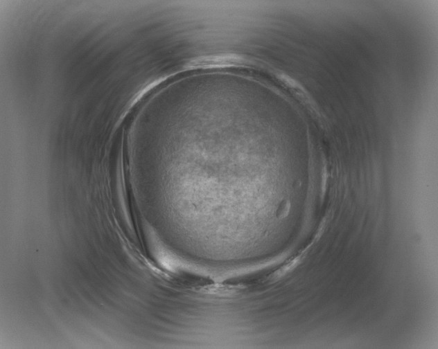 X0000080791457200612151442