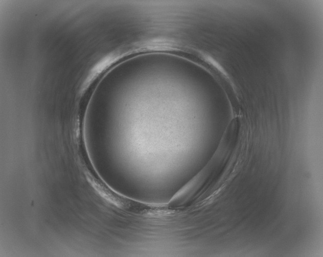 X0000080791461200612151442