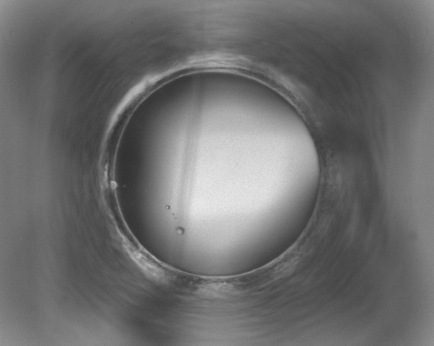 X0000080791462200612151442