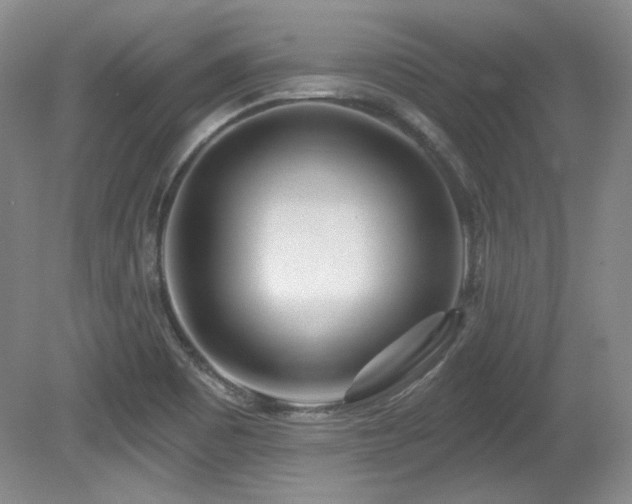 X0000080791465200612151442