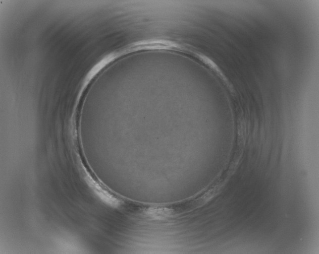 X0000080791466200612151442