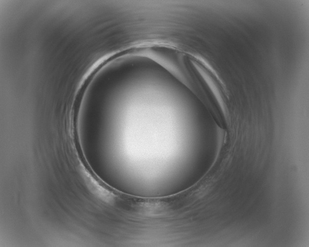 X0000080791468200612151442
