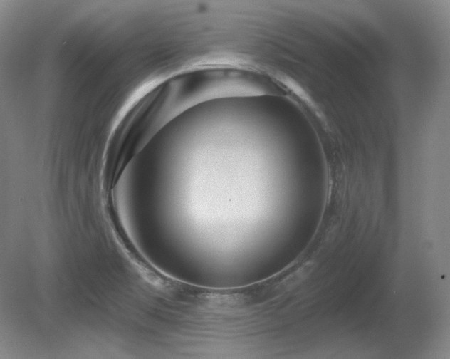 X0000080791469200612151442