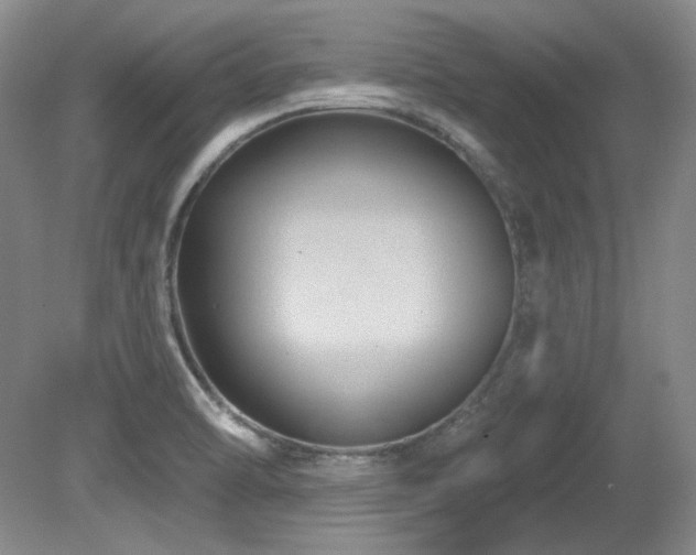 X0000080791470200612151442