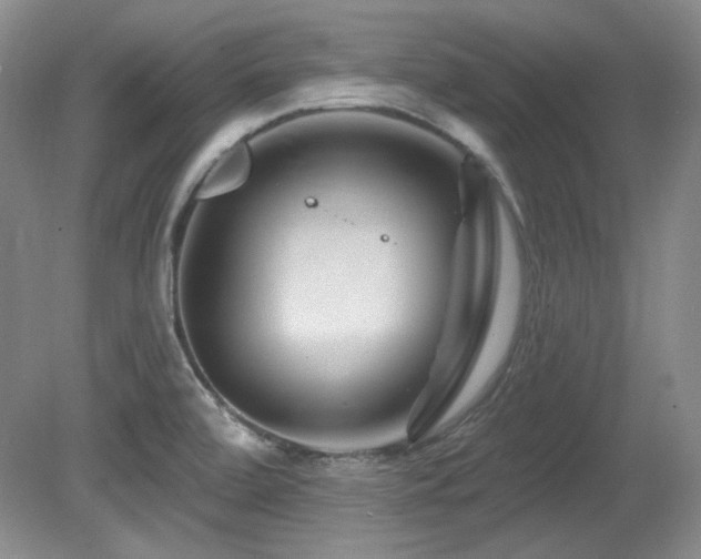 X0000080791472200612151442