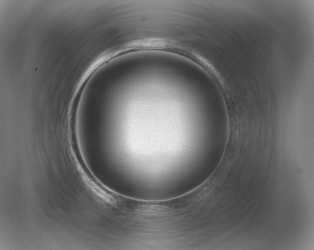 X0000080791475200612151442