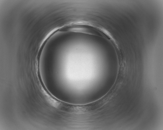 X0000080791476200612151442