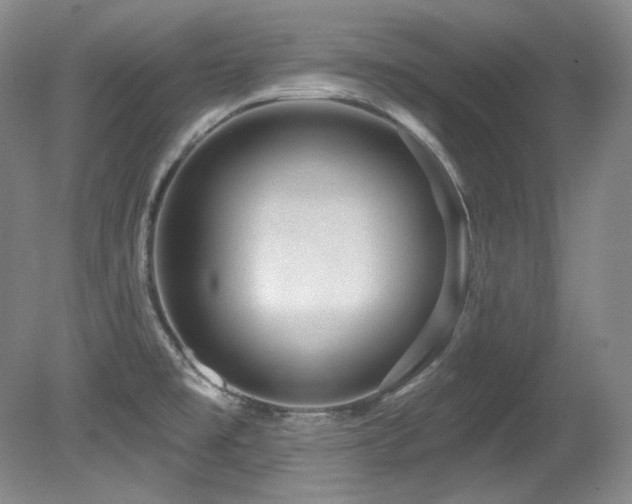 X0000080791477200612151442