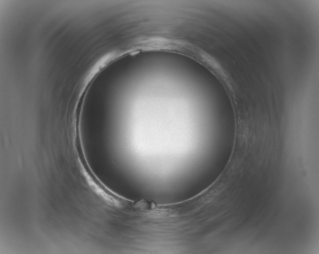 X0000080791479200612151442
