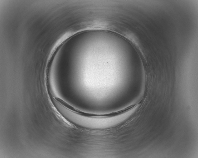 X0000080791480200612151442