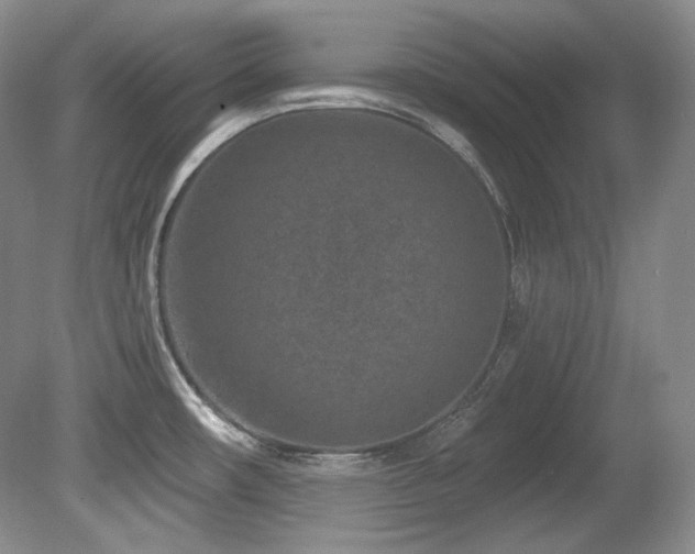 X0000080791482200612151442