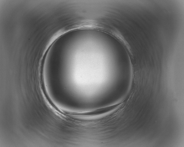 X0000080791483200612151442