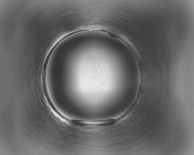 X0000080791484200612151442