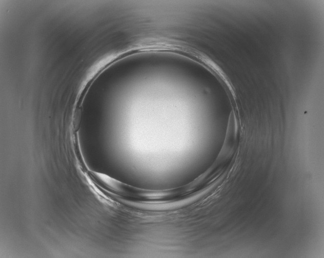 X0000080791485200612151442