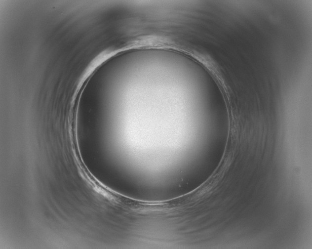 X0000080791486200612151442