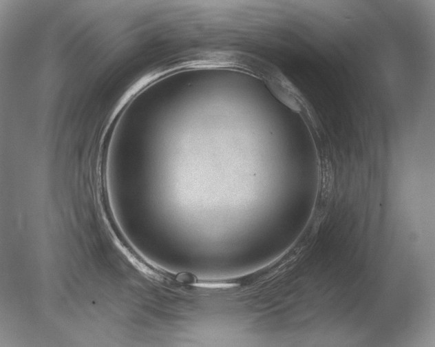 X0000080791487200612151442