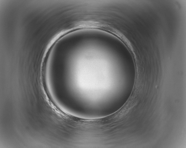 X0000080791488200612151442
