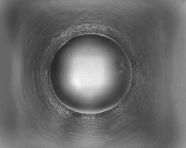 X0000080791489200612151441