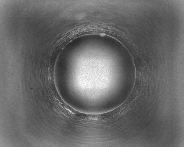X0000080791490200612151441