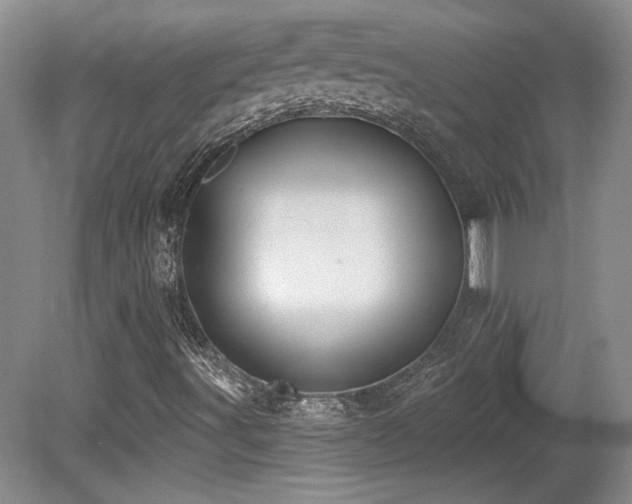 X0000080791491200612151441