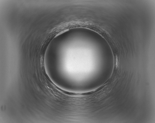 X0000080791492200612151441