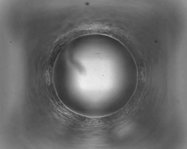 X0000080791493200612151441