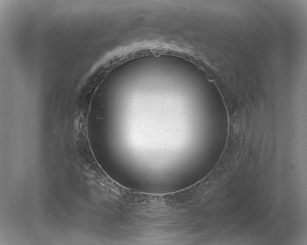 X0000080791495200612151441
