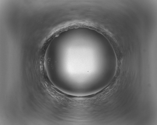 X0000080791496200612151441