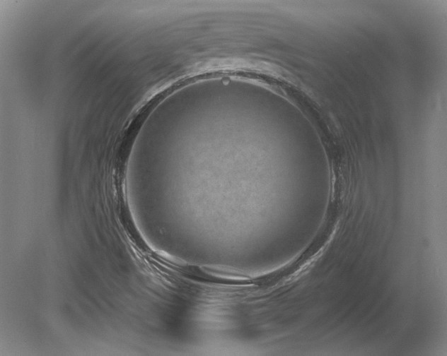 X0000080791497200612151441