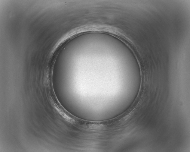 X0000080791498200612151441