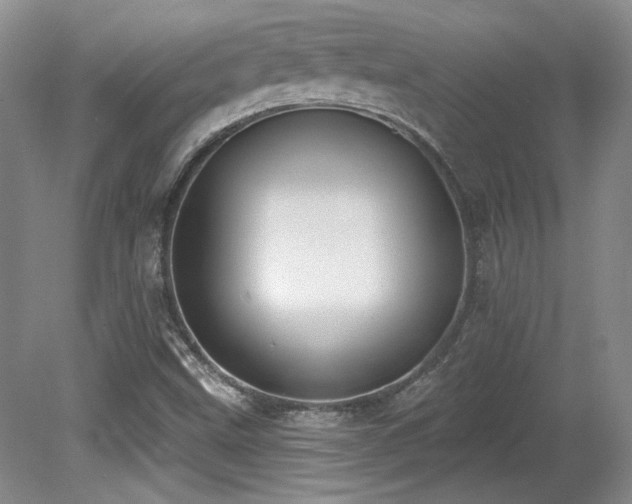 X0000080791499200612151441