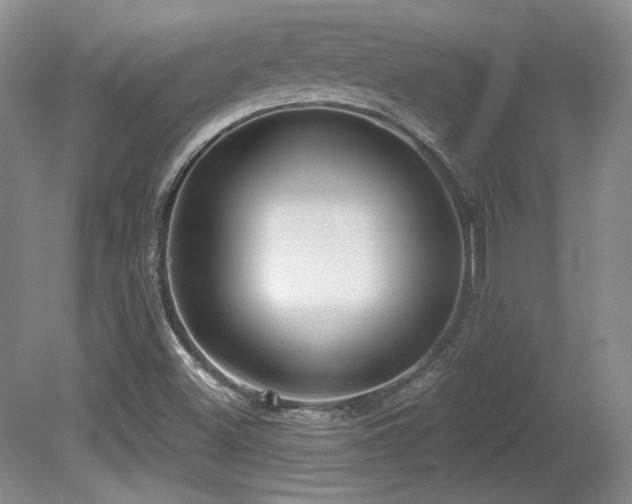 X0000080791500200612151441