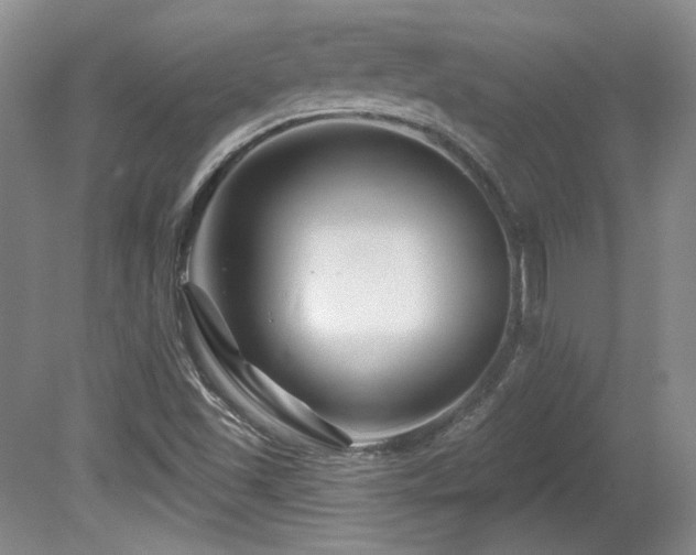 X0000080791501200612151441