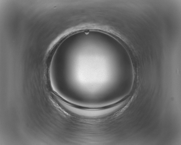 X0000080791502200612151441