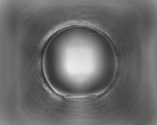 X0000080791503200612151441