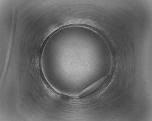 X0000080791505200612151441