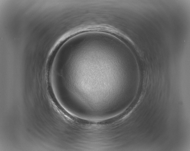 X0000080791506200612151441