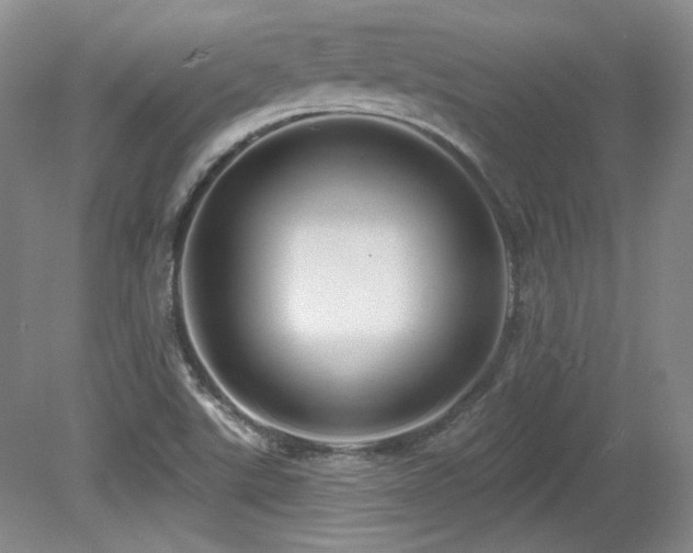 X0000080791507200612151441