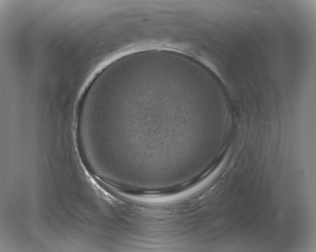 X0000080791508200612151441