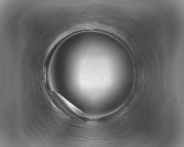 X0000080791509200612151441