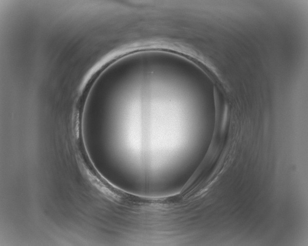 X0000080791510200612151441