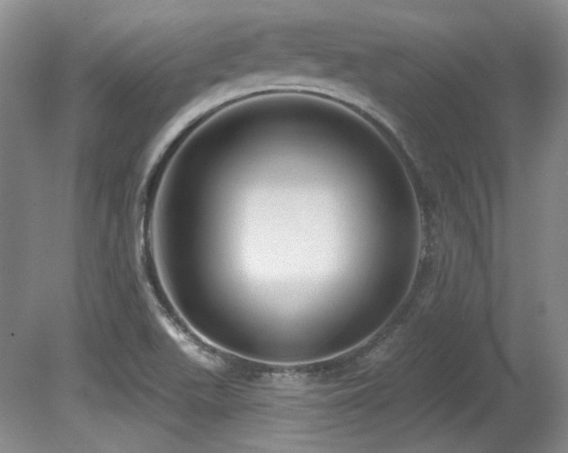 X0000080791511200612151441
