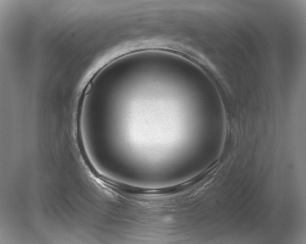 X0000080791512200612151441