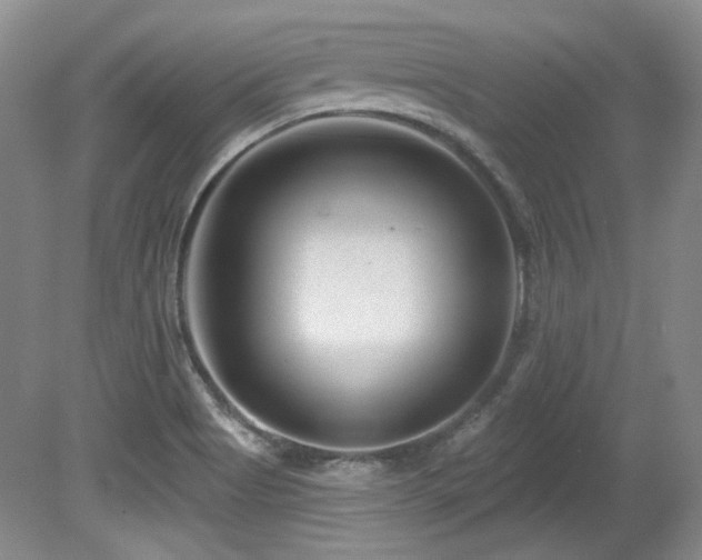 X0000080791513200612151441