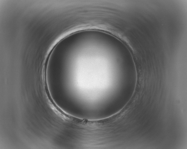 X0000080791516200612151441