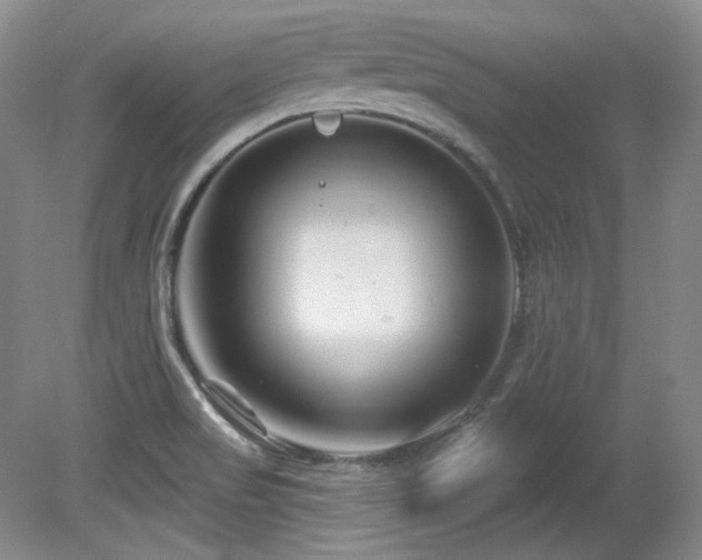 X0000080791517200612151441